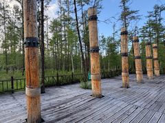 -莫尔道嘎国家森林公园