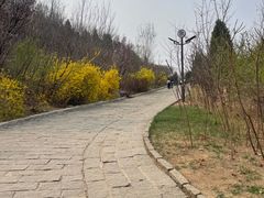 -南翠屏公园