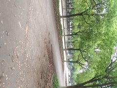 -安飞驰驾校·学车连锁(金高店)