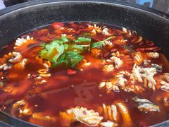 -重庆乌鱼庄·龙滋鲜(青羊大道店)