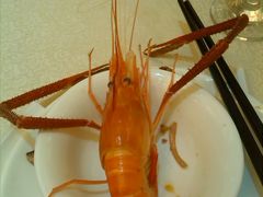 -龙悦湾酒家·八阵鱼生·渔人码头店