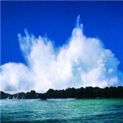 -薇兰专业脱毛连锁机构