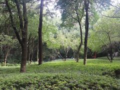 -杭州半山国家森林公园