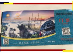 -梭布垭石林景区