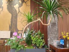 -聚福宝合苑食府(南头镇店)