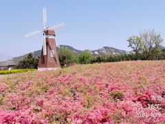 -西海岸生态观光园