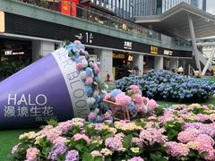 -HALO广场(梨园路店)