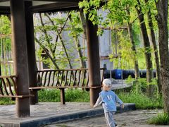 -黄陂区野村谷景区