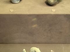 -杭州工艺美术博物馆