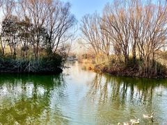 -西安浐灞国家湿地公园