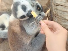 -秦皇岛野生动物园