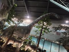 -湖南省地质博物馆