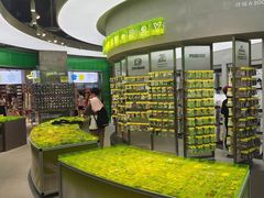 -HOWOW·D2Y(柏威年店)