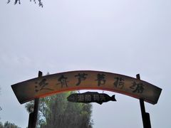 -白渔泡湿地公园