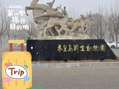 -秦皇岛野生动物园