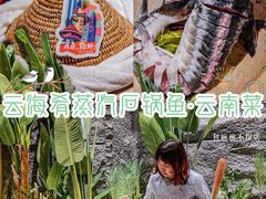 -云海肴云南菜·蒸汽石锅鱼(青岛万象城店)