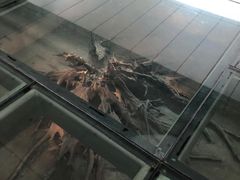 -金沙遗址博物馆
