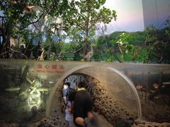 -中国湿地博物馆