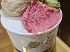 -VENCHI 闻绮(上海佛罗伦萨小镇店)