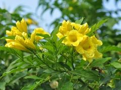 -西岭雪山大飞水景区