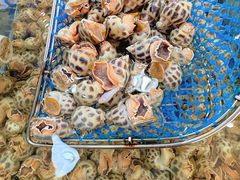 -明记海鲜大排档(巽寮湾店)