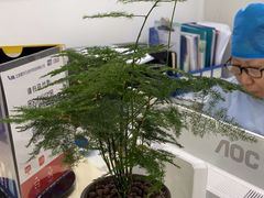 -雅仕康口腔