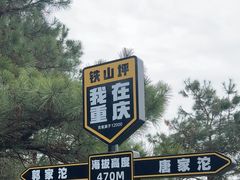 -铁山坪森林公园