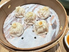 -缸鸭狗(天一广场店)