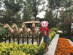 -武清南湖绿博园