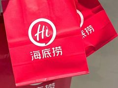 -海底捞火锅(铂澜大象城店)
