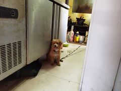 -嵊州特色小吃(萧山街店)