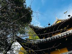 -龙华素斋(龙华路店)