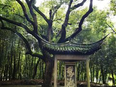 -兰亭风景区