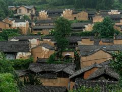 -杨家堂村