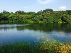 -福建鲤鱼洲酒店