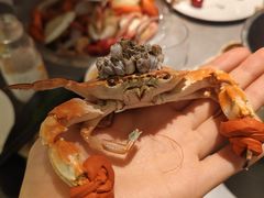 -一方渔歌蒸汽海鲜自助(文化路万达广场店)