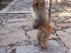 云台山-云台山风景名胜区