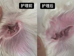 -comecome来吧宠物(奥克斯中心店)