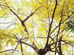 -东风公园