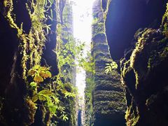 -梭布垭石林景区