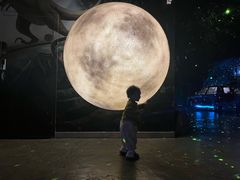 -顺德南宏海立方海洋公园