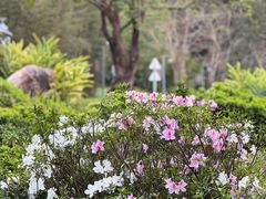 -神光山国家森林公园