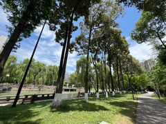 -温江公园