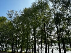 -上海海湾国家森林公园