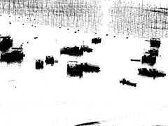 -北岐滩涂