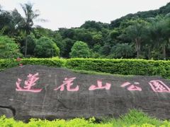 -莲花山公园