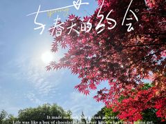 -桃花岛景观公园