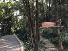 -广州市帽峰山景区