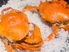 -惠食佳(东风大公馆店)