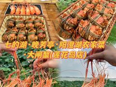 -七的湖·晚芳亭·阳澄湖农家菜·大闸蟹(莲花岛店)